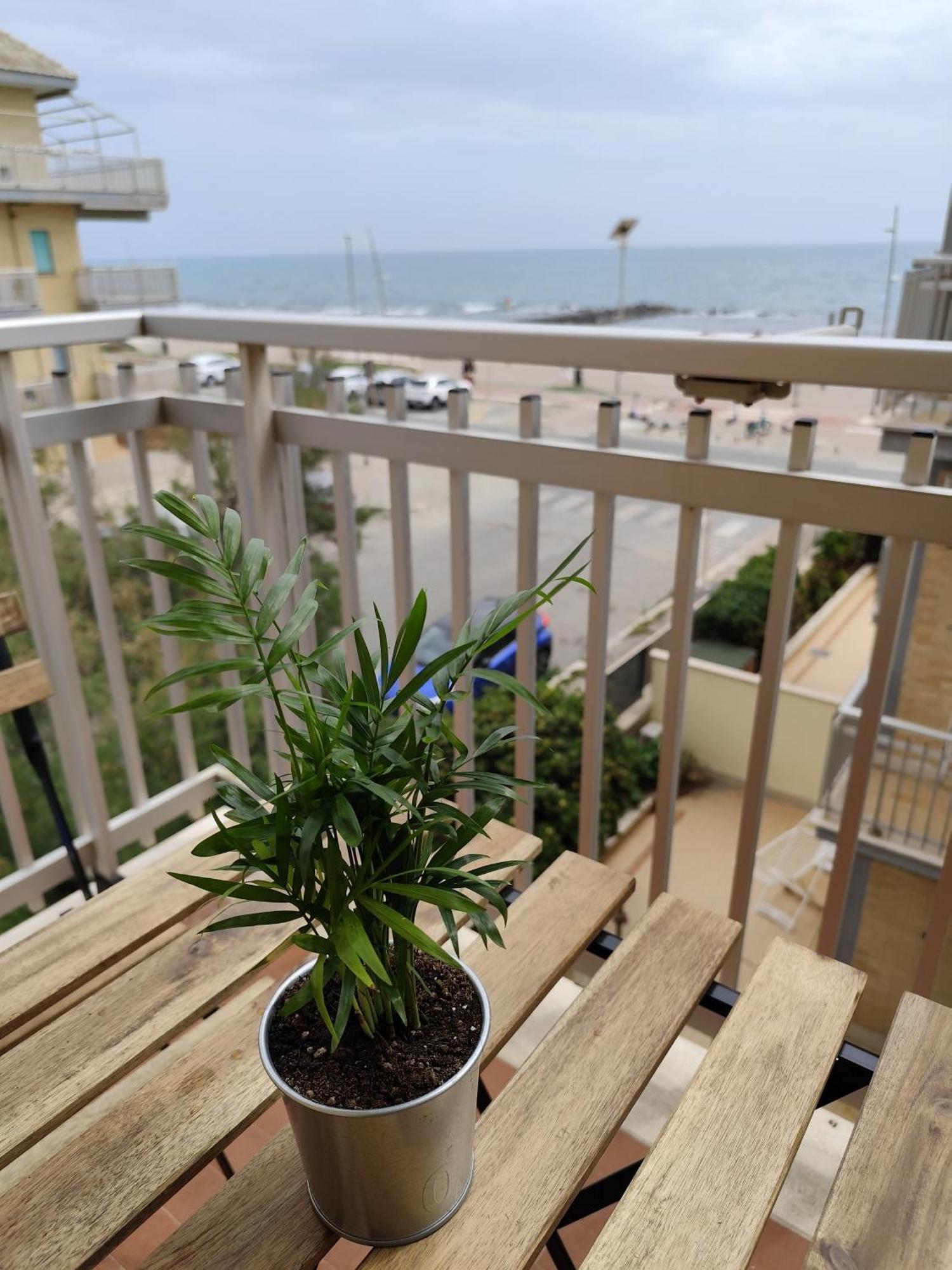 Rsk By The Sea